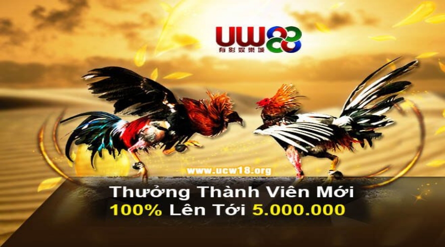 UCW88 – Website xem trực tiếp đá gà, cá cược cực đã Làm thế nào để đăng ký tại UCW88 cổng cược đá gà?